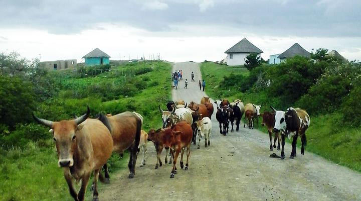 Freedom O Clock Backpacking Retreat