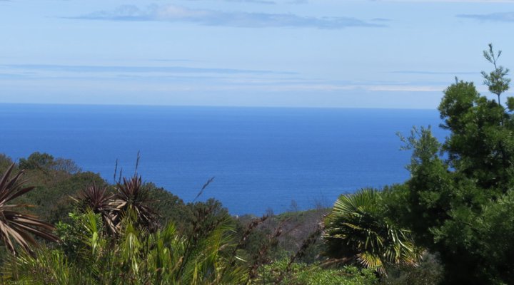 Aafrika Amazing View