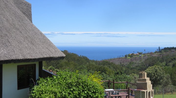 Aafrika Amazing View