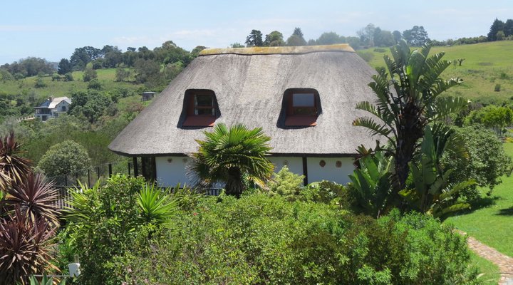 Aafrika Amazing View