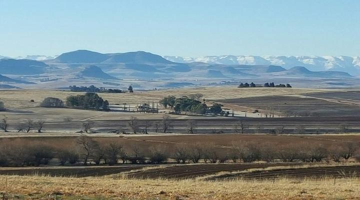 Willowdene Guest Farm