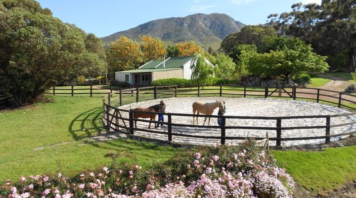 Heaven & Earth Cottage