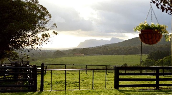 Heaven & Earth Cottage
