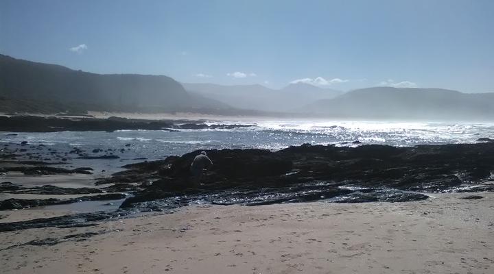 Nature's Valley Beach House