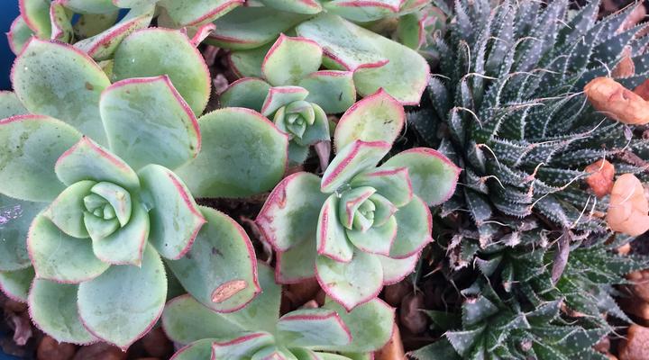 Crayfish Creek Lodge