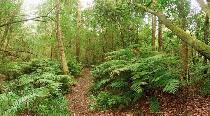 The Cottage At The Rambler's Rest