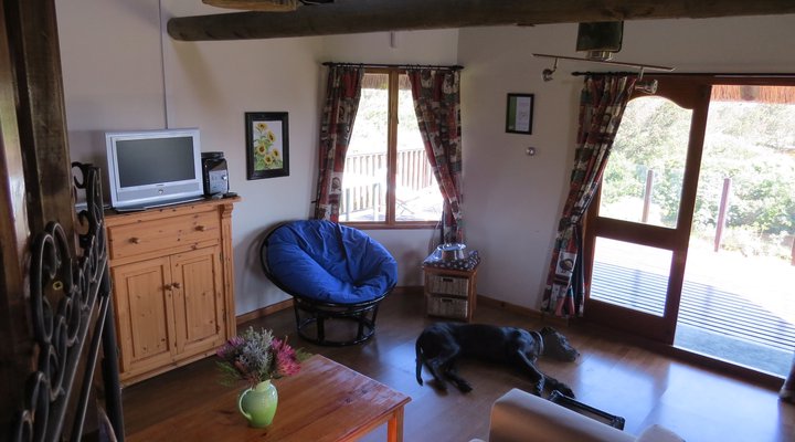 Aafrika Amazing View