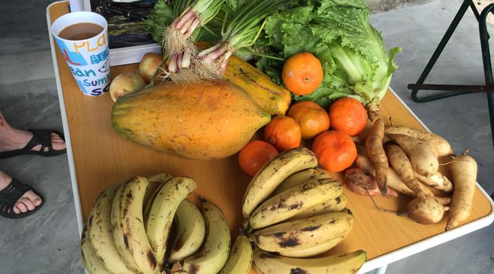 Macachula Beach Camp