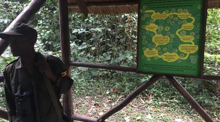 Tristar Africa Skimmer Safaris - Gorilla Safari