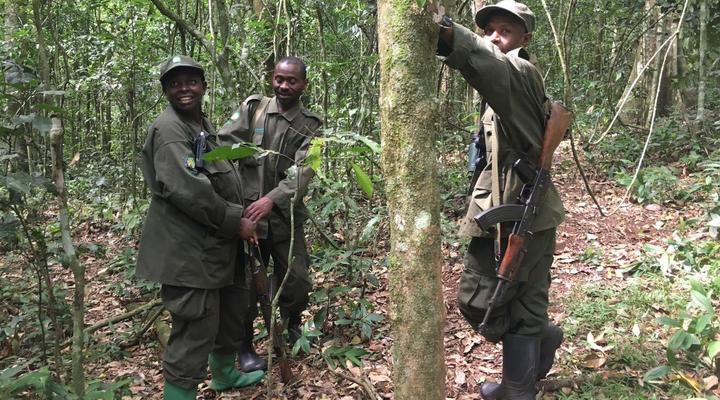 Tristar Africa Skimmer Safaris - Gorilla Safari