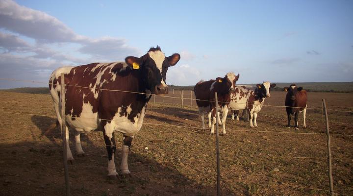 Staandakkie Guest Cottage - Solar Operated