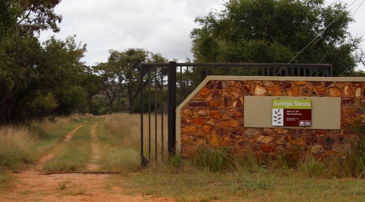 Syringa Sands Forest Cottage