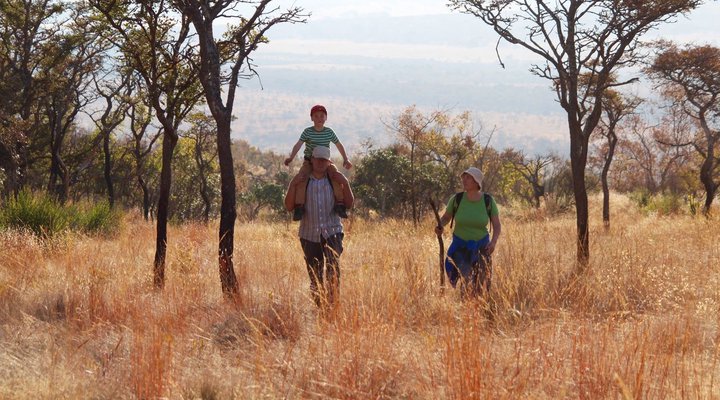 Syringa Sands Forest Cottage