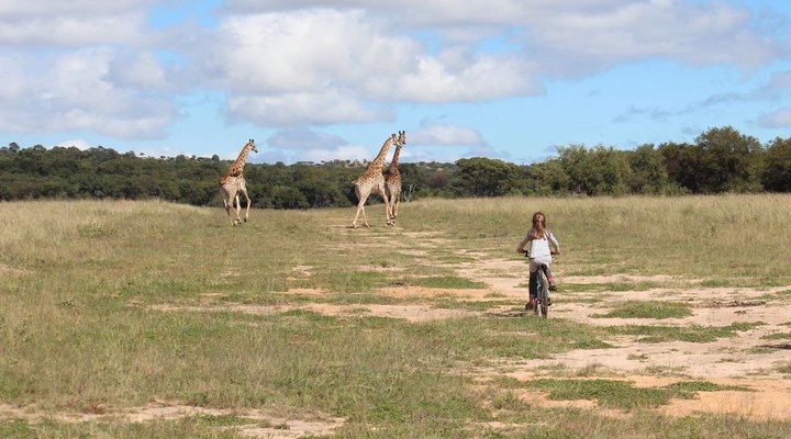 Syringa Sands Bush Camp Site