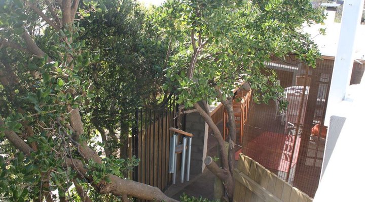 Rocklands Nest