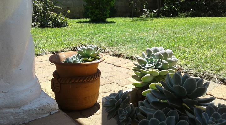 Beautiful 4 Bedroomed Self Catering Home