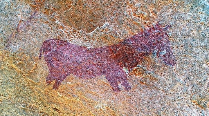 Kareekloof Conservancy- Commando House