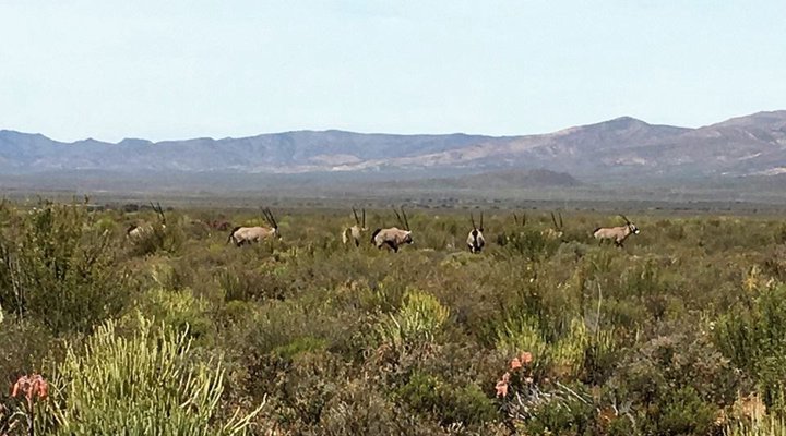 Kareekloof Conservancy- Commando House