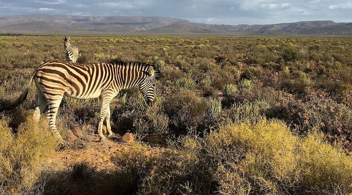 Kareekloof Conservancy- Commando House