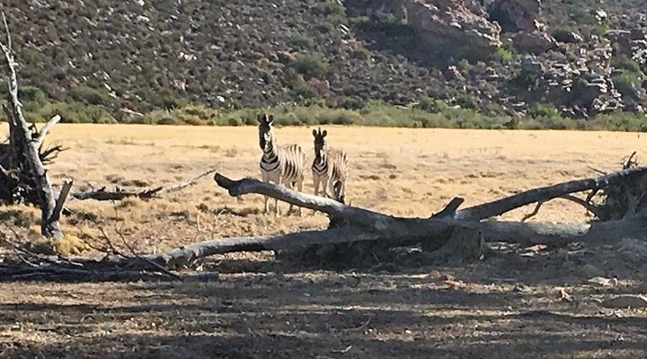 Kareekloof Conservancy- Commando House