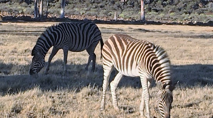 Kareekloof Conservancy- Commando House