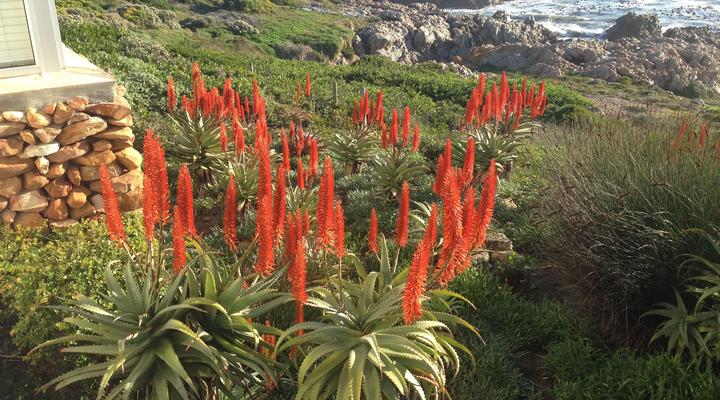 De Kelders Beach House