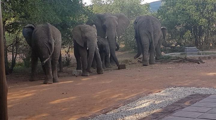 Noko Lodge Mabalingwe