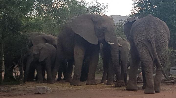 Noko Lodge Mabalingwe