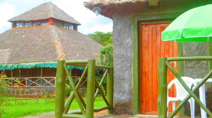 Cactus Eco Camp and Lodge