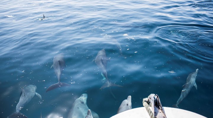 Azura Quilalea Private Island
