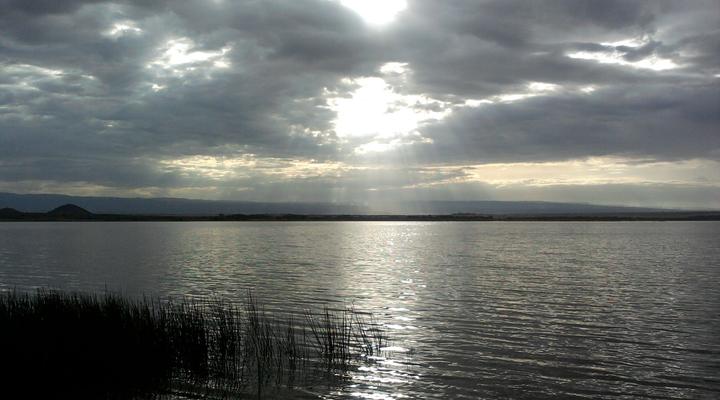 Cactus Eco Camp and Lodge