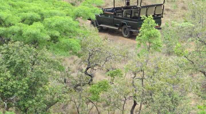 Mangwa African Safari 