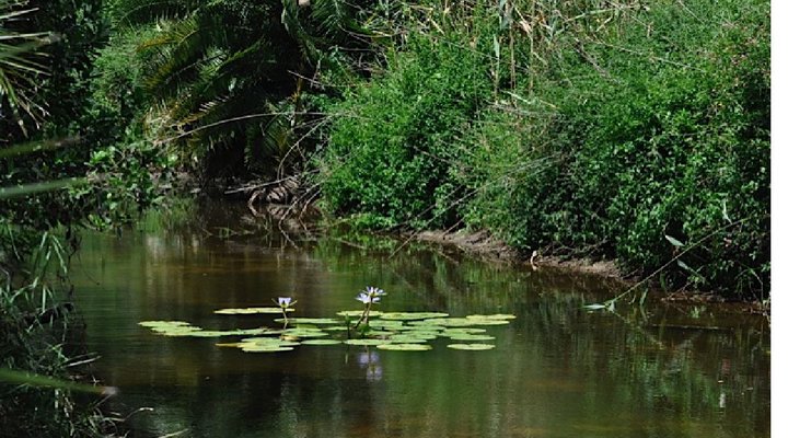 Nyala Valley Game Lodge