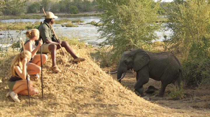 Azura Selous Game Reserve