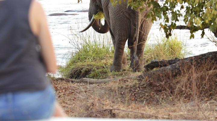 Azura Selous Game Reserve