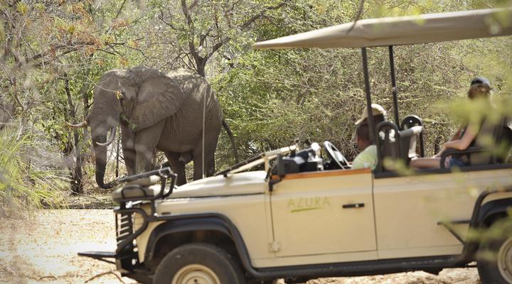 Azura Selous Game Reserve