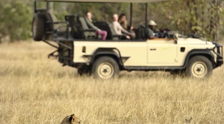 Azura Selous Game Reserve