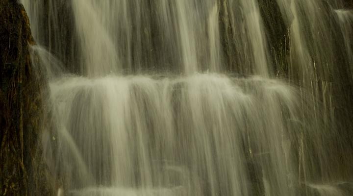 Forest Cottage self catering