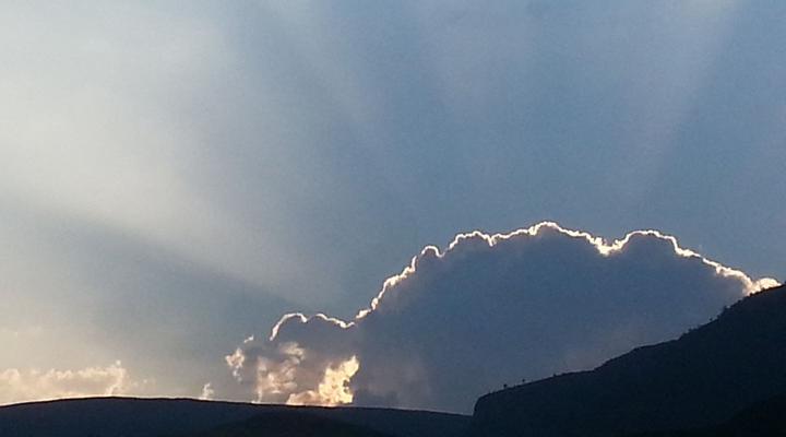 Forest Cottage self catering