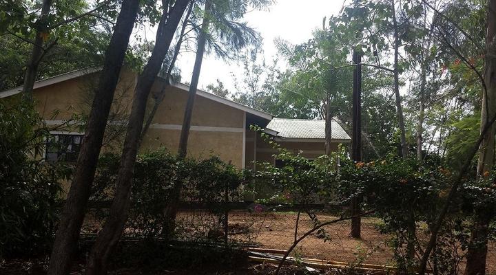 El'molo Crocodile Park and Backpackers Club