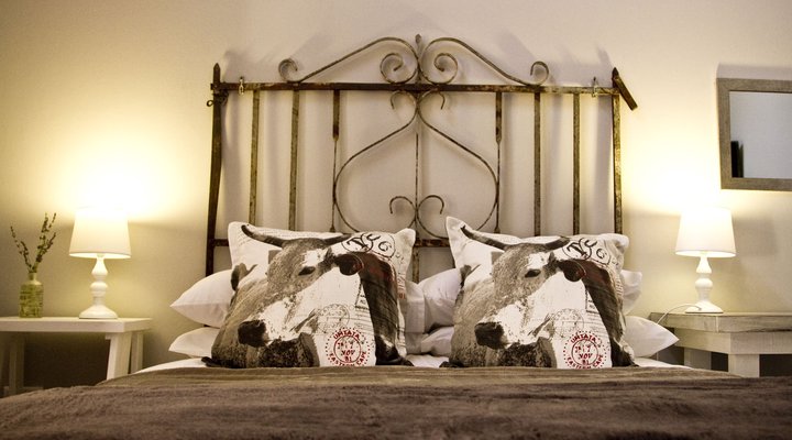 Pumpkin Tree Guesthouse