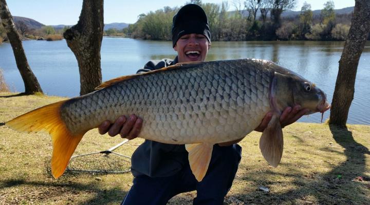 Dimalachite Nature Resort and River Lodge