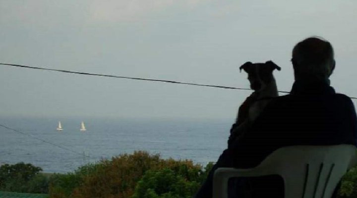 Dolfin View Self-catering Accommodation