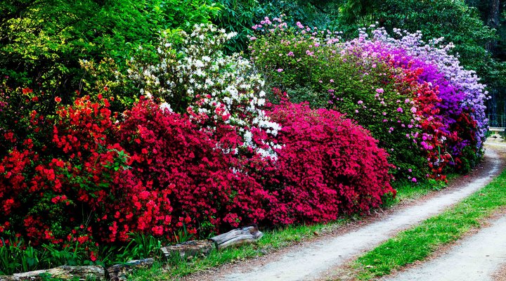 Back o' the Moon Cottage