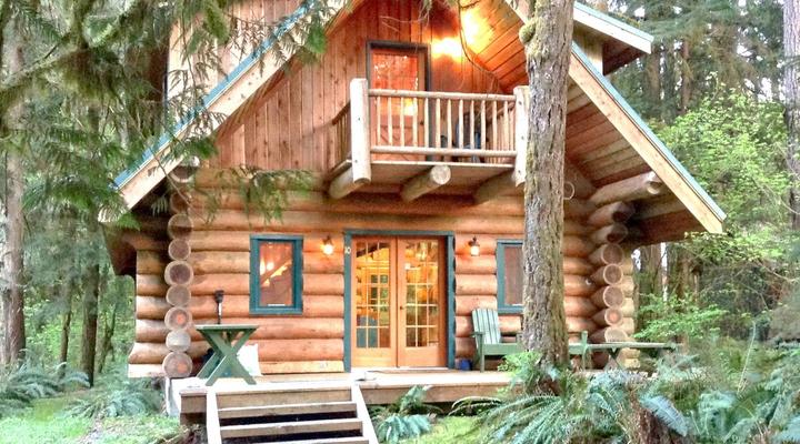 #10 Snowline Cabin