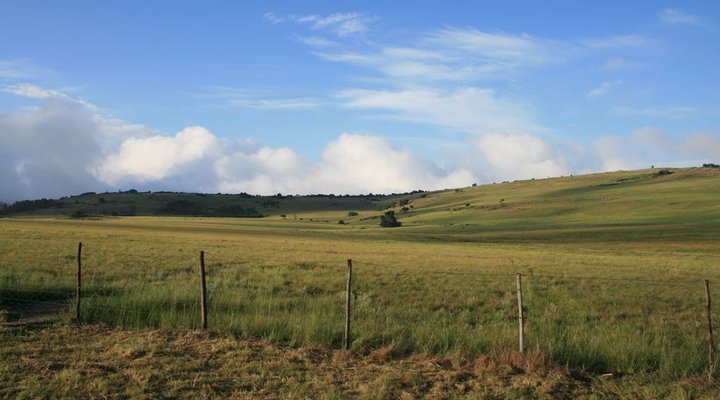 Bergvlei Country Cottage