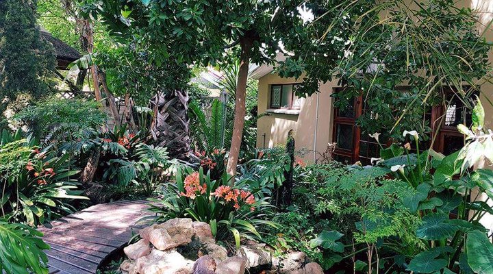 86 on Langenhoven Bed and Breakfast