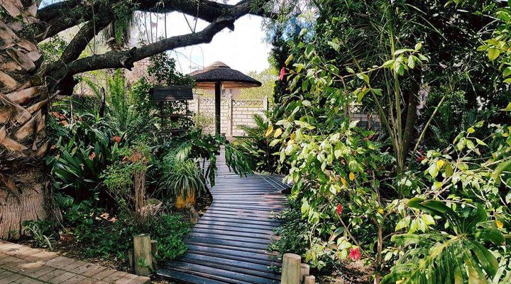 86 on Langenhoven Bed and Breakfast
