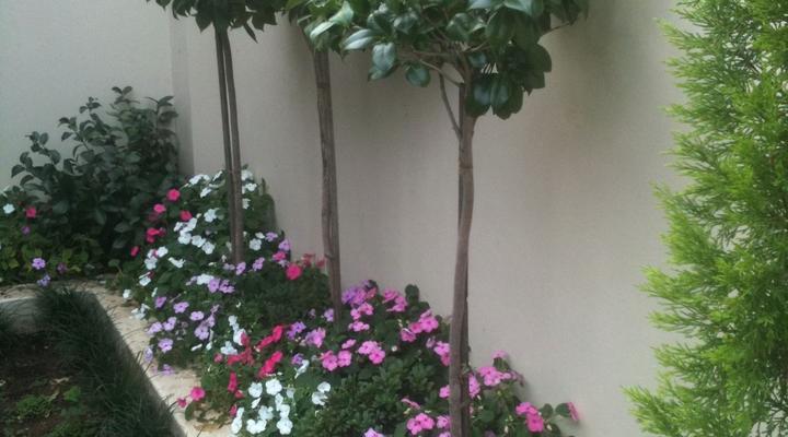 Green Door Guest Cottage - Noorder Street