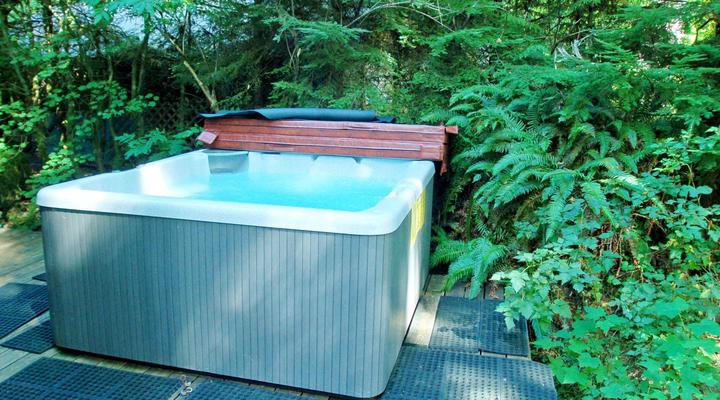 #19 Mt. Baker Rim Cabin